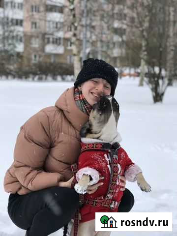 Зооняня / выгул / передержка животных Санкт-Петербург - изображение 1