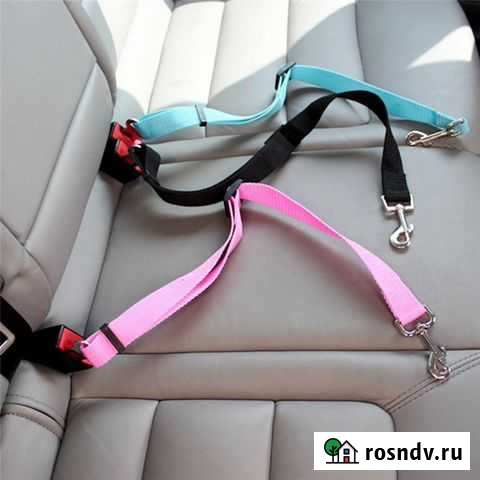Ремень безопасности поводок в машину Сочи - изображение 1
