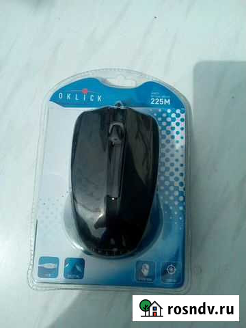 Мышь Большеречье - изображение 1