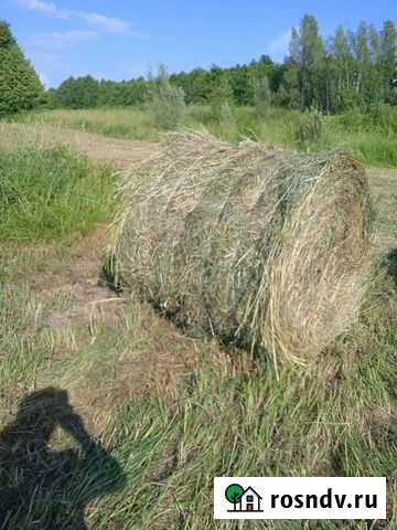 Сено в рулонах Моргауши - изображение 1