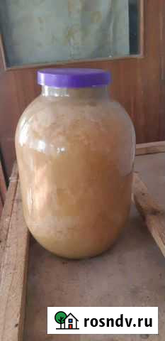 Мед Калуга - изображение 1