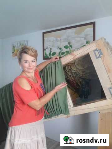 Мёд колодный в сотах и жидкий Данков - изображение 1