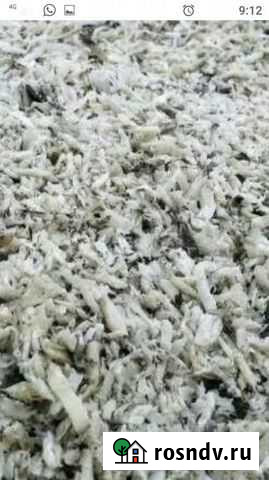 Жом свекольный,свежий Киевское - изображение 1