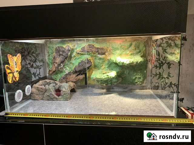 Террариум для рептилий Новокузнецк - изображение 1