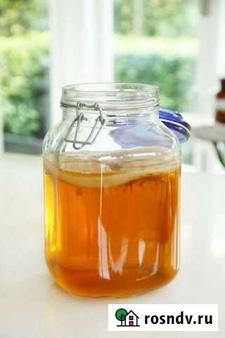 Чайный гриб Улан-Удэ - изображение 1