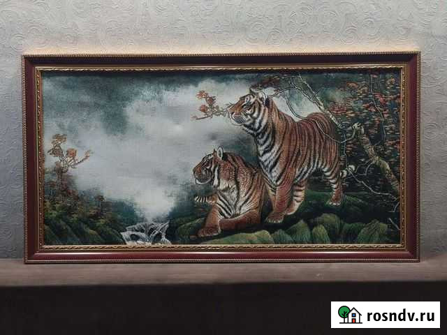 Тигры Кунгур - изображение 1