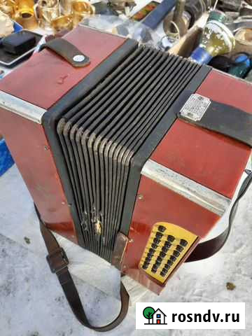 Гармонь Кострома - изображение 1