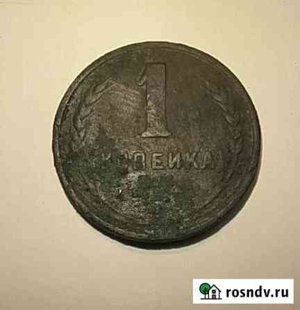 1копейка 1924 года Трубчевск