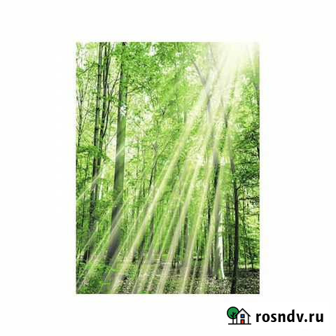 Штора для ванной Фотопринт 180*180 Лес YQL-DX-127 Курск - изображение 1