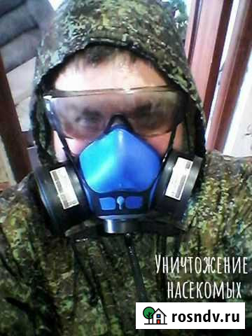 Мастер-дезинфектор, Дезинсекция. Гарантия Омск - изображение 1