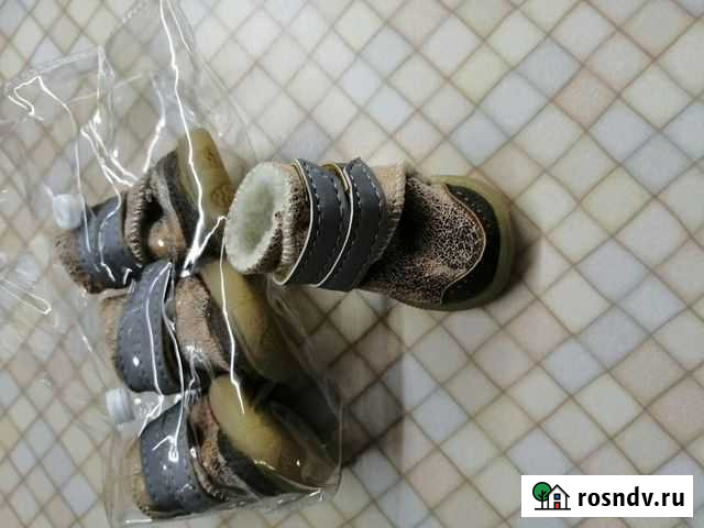 Обувь для маленьких собак Красногорск - изображение 1