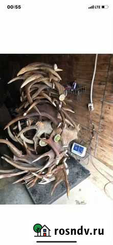 Рога Клин - изображение 1