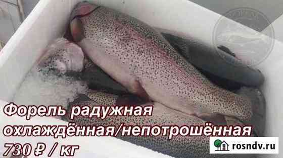 Рыба и морепродукты Пенза
