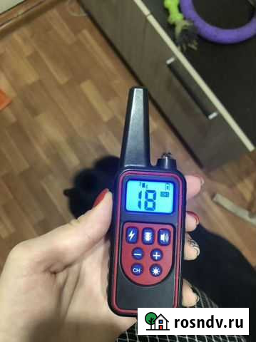 Пульт электро ошейника Курск - изображение 1