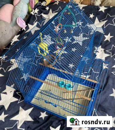 Клетка для птиц Южно-Сахалинск - изображение 1