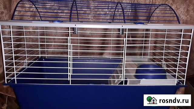 Большая клетка для крупных грызунов Тула - изображение 1