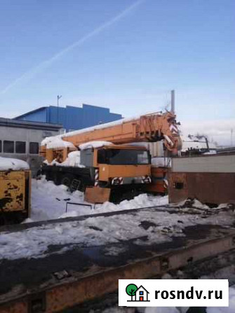 Liebherr LTM 1070-4.2, 1990 Сургут - изображение 1