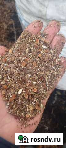 Отходы гречки на корм животным Абакан - изображение 1