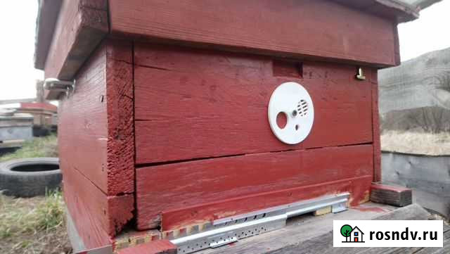 Продам ульи рута Боготол - изображение 1