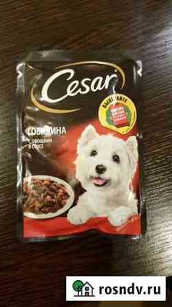 Корм для собак cesar Сосновый Бор