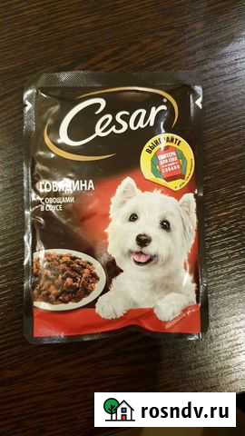 Корм для собак cesar Сосновый Бор - изображение 1