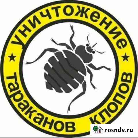 Уничтожение тараканов, клопов, муравьев, блох Зеленогорск