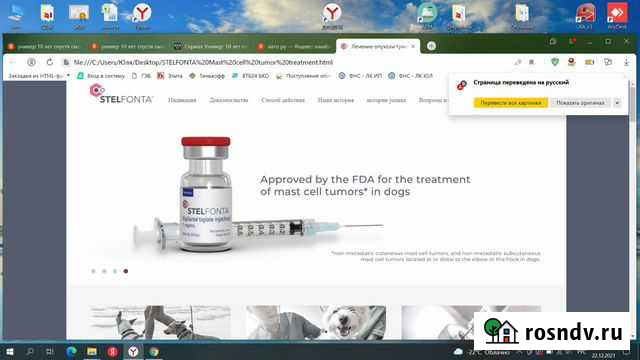 Стелфонта Руза - изображение 1