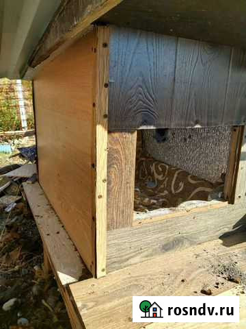 Будка для собаки утепленная бу Сочи - изображение 1