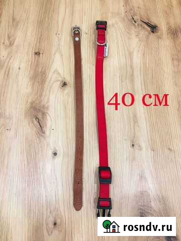 Ошейник и поводок Петрозаводск - изображение 1