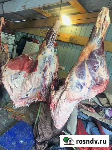 Мясо домашнее говядина Иркутск - изображение 1