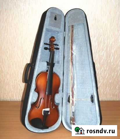 Скрипка Новосибирск - изображение 1