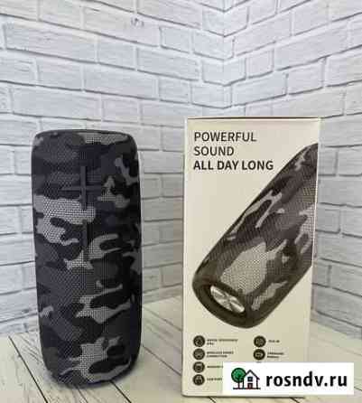 Колонка Hopestar P21 original (хакки) новая Иваново