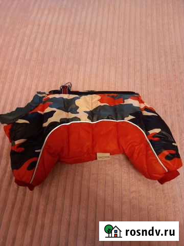 Одежда для маленьких собак Белогорск - изображение 1