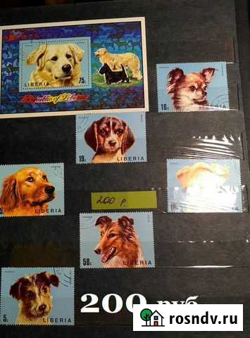 Коллекции марок. Альбом №2 Симферополь - изображение 1