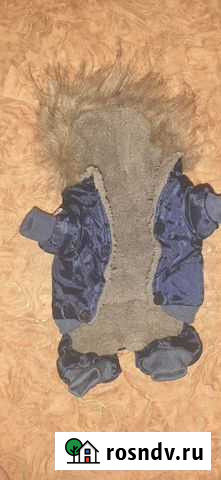 Костюмчик для собаки Нефтегорск - изображение 1