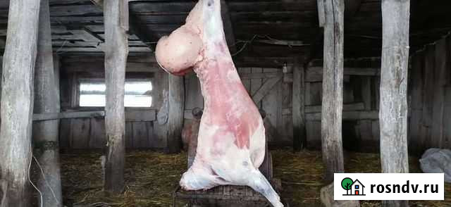 Мясо баранина Козловка - изображение 1