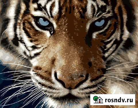 Картина по номерм 40*50 Кемерово - изображение 1