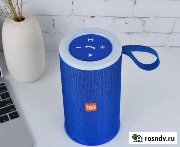 Беспроводная колонка TG 169 Владимир - изображение 1