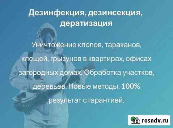 Санобработка от тараканов и клопов. Год гарантии Тольятти