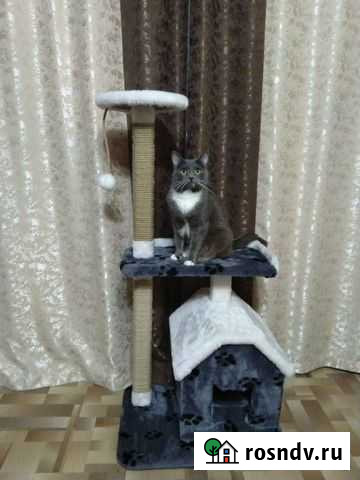 Домик для кошки с когтеточкой Приютово - изображение 1