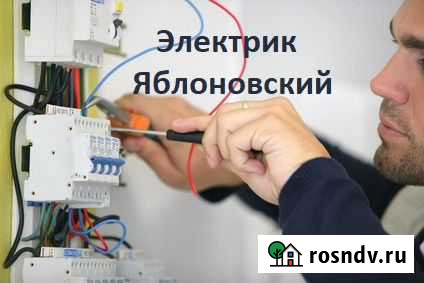 Электрик Яблоновский - изображение 1