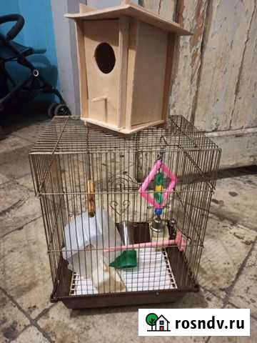 Клетка для попугая Североморск - изображение 1