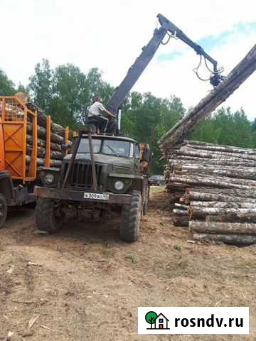 Лес кругляк береза Малоярославец - изображение 1