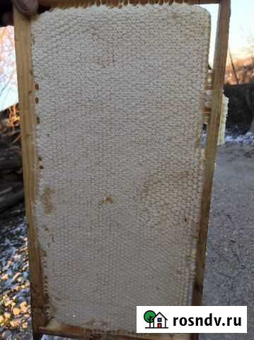 Мёд в сотах Калуга - изображение 1