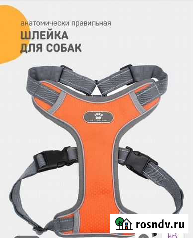 Шлейка для собаки Саки - изображение 1