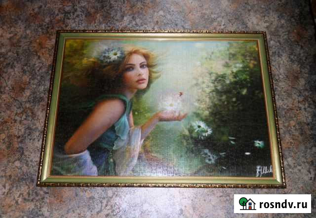 Картина из пазлов Петрозаводск - изображение 1