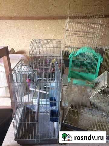Клетки для попугаев бу Ижевск - изображение 1