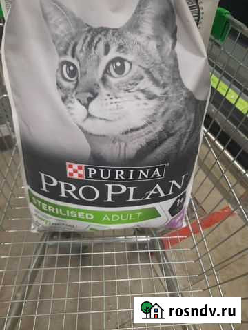 Корм для кошекpro plan 10кг для стерилизованных ко Дзержинск - изображение 1