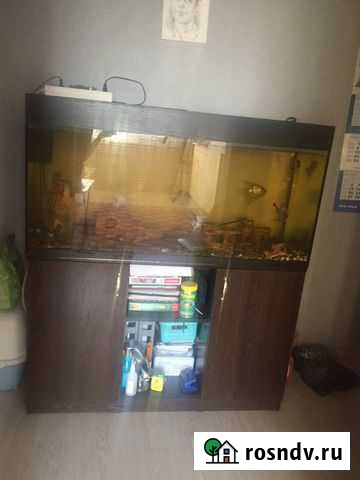 Аквариум с тумбой 300 литров Иркутск - изображение 1