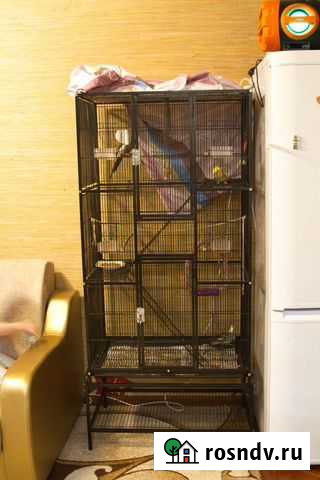 Клетка / вольер для животных / птиц Арзамас - изображение 1